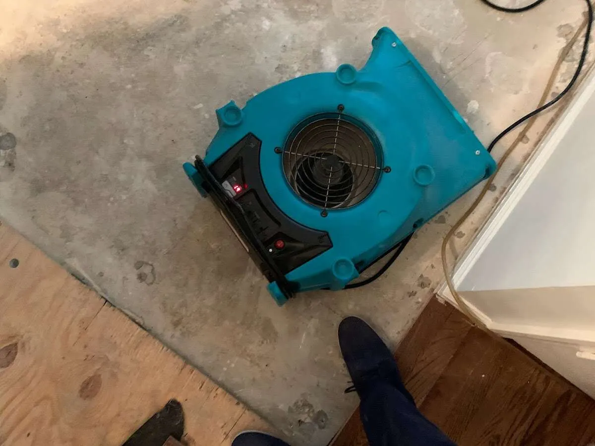 Air mover drying subfloor during Commercial Water Damage Restoration in Coraopolis